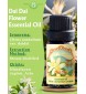 Dai Dai Flower Essential Oil (Citrus aurantium VAR. Daidai) | 100% Pure, Steam Distilled | 0.33 FL OZ / 10 ml