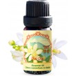 Dai Dai Flower Essential Oil (Citrus aurantium VAR. Daidai) | 100% Pure, Steam Distilled | 0.33 FL OZ / 10 ml
