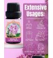 Lilac Absolute Oil (Syringa vulgaris L.) – 0.33 fl oz / 10 ml  Meta Tag Title