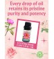 Bulgarian Rose Essential Oil (Rosa damascene) – 0.33 FL OZ / 10 ml