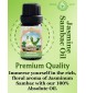 Jasmine Sambac Absolute Oil (Jasminum sambac) – 0.33 fl oz / 10 ml Jasmine Sambac Absolute Oil (Jasminum sambac) – 0.33 fl oz / 10 ml