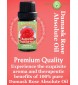 Bulgarian Rose Absolute Oil (Rosa damascene) – 0.33 FL oz / 10 ml