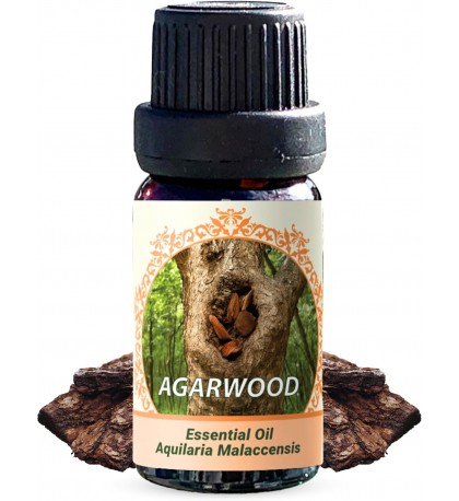Agarwood Oud Essential Oil – Aquilaria malaccensis – 10 ml Agarwood Oud Essential Oil – Aquilaria malaccensis – 10 ml