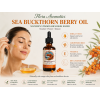 Sea Buckthorn Berry Oil – Cold Pressed - 350 mg/100 g Carotenoids – 1.69 FL.OZ / 50 ml by Flora Aromatics