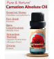 Carnation Absolute Oil (Dianthus caryophyllus L.) | 100% Pure Therapeutic Grade (Undiluted Natural) | 10ml / 0.33 FL OZ