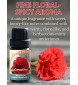 Carnation Absolute Oil (Dianthus caryophyllus L.) | 100% Pure Therapeutic Grade (Undiluted Natural) | 10ml / 0.33 FL OZ