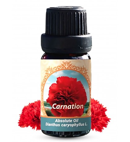 Carnation Absolute Oil (Dianthus caryophyllus L.) | 100% Pure Therapeutic Grade (Undiluted Natural) | 10ml / 0.33 FL OZ