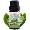 Lily of the Valley Absolute – 100% Pure & Natural Convallaria Majalis L. Oil 10ml / O.33 FL OZ
