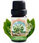 Lily of the Valley Absolute – 100% Pure & Natural Convallaria Majalis L. Oil 10ml / O.33 FL OZ