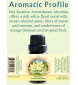 Juhi Absolute Oil (Jasminum auriculatum Vahl) 0.33 FL OZ / 10ml