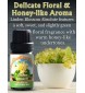Linden Blossom Absolute Oil (Tilia Cordata Mill) | 100% Pure Therapeutic Grade (Undiluted Natural) | 10ml / 0.33 FL OZ