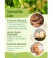 Linden Blossom Absolute Oil (Tilia Cordata Mill) | 100% Pure Therapeutic Grade (Undiluted Natural) | 10ml / 0.33 FL OZ
