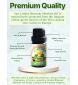Linden Blossom Absolute Oil (Tilia Cordata Mill) | 100% Pure Therapeutic Grade (Undiluted Natural) | 10ml / 0.33 FL OZ