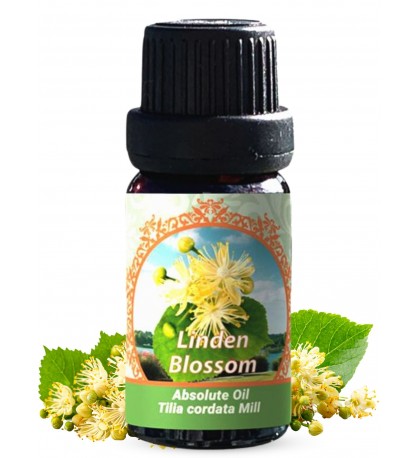 Linden Blossom Absolute Oil (Tilia Cordata Mill) | 100% Pure Therapeutic Grade (Undiluted Natural) | 10ml / 0.33 FL OZ