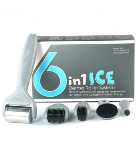 6 in 1 Derma Roller Microneedle Kit with Ice Roller for Face and Body - 0.25mm and 0.3mm Micro Needle Derma roller Set
