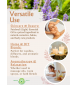 Patchouli (Light) Essential Oil (Pogostemon Cablin) | 100% Pure Therapeutic Grade (Undiluted Natural) | 0.5 Fl Oz/15 Ml