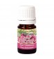 Flora Aromatics Rose Essential Oil 0.5 ml, 100% Pure Therapeutic Grade, Absolute