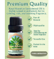 Royal Hawaiian Sandalwood Essential Oil 0.33 FL OZ / 10ml
